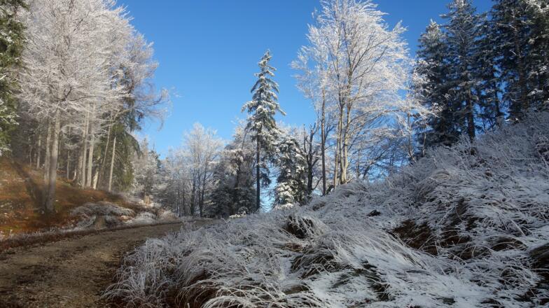 Zum Sattel (990m ), Kehre, Anstieg Seeberg links