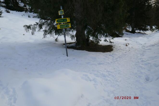 am Sattel ca. 1400 m: wir kommen von rechts, links gehts zur Esterbergalm, im Rücken zum Wank
