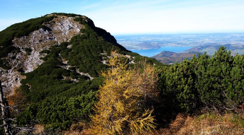 Rückblick zum Hochleckenkogel mit Attersee
