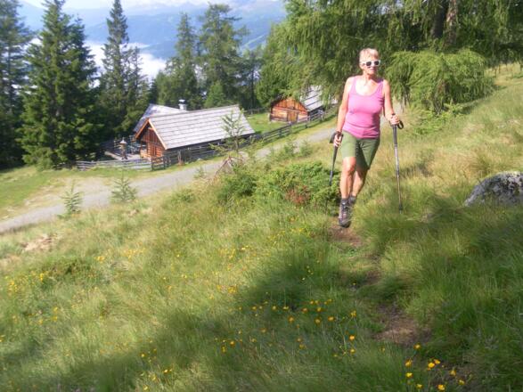 Gensgitschhütte