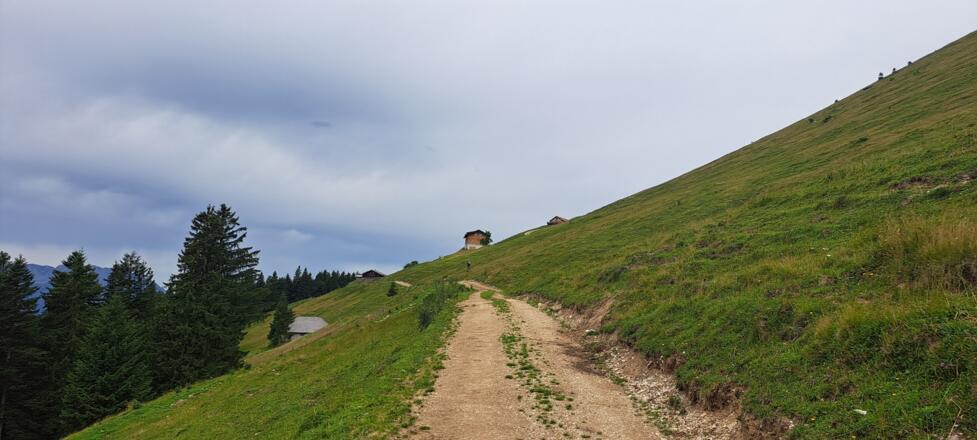 Hinten sieht man bereits die Schlenkenalm mit der Zillhütte...