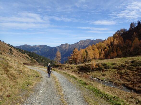 Am Fahrweg zurück zum Brandebengut