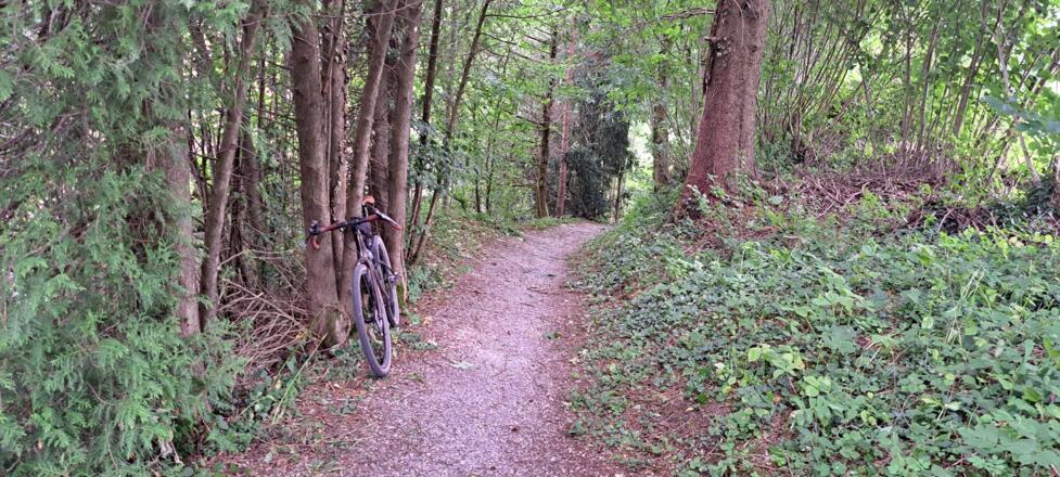 Immer wieder spaßige Trail-Abschnitte...