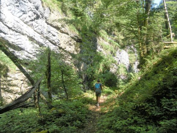 Rosskarsteig zurück nach Melleck