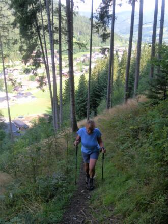 steiler Waldsteig zur Moosalm
