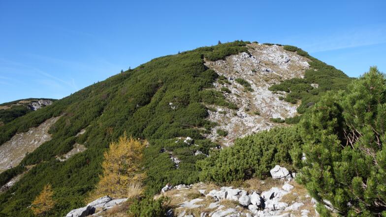 rechts zum Hochleckenkogel vom Hochpunkt ~1630m