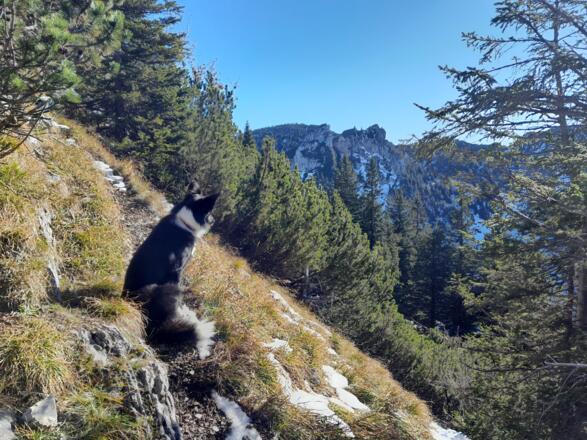 Sonnenbad für Mensch und Tier