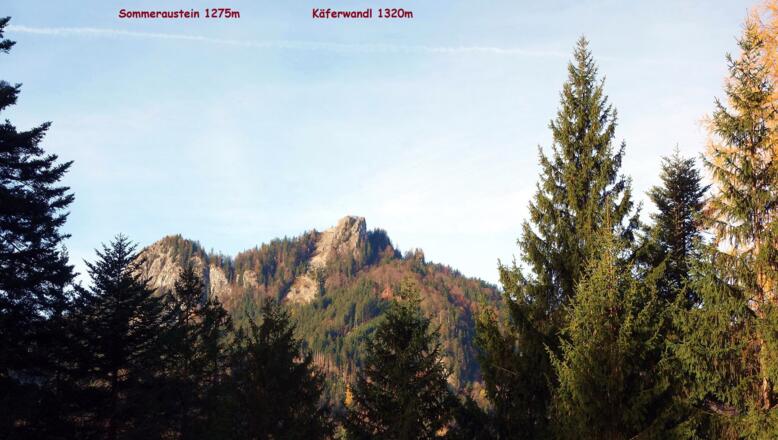 Blick von >800 m zum Käferwandl