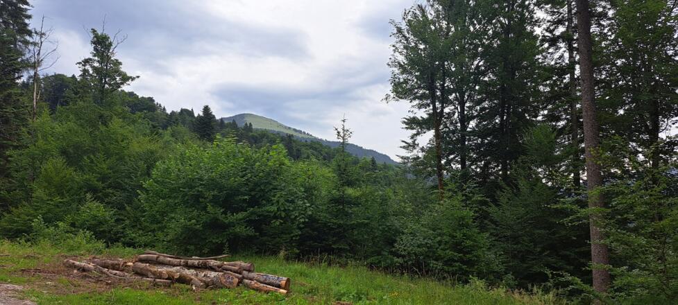 Der Schlenken ist schon von Weitem sichtbar...