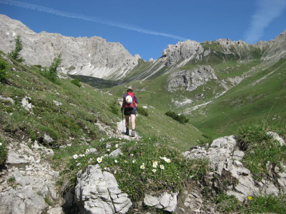 Kerschbaumeralm unter dem Hallebachtörl