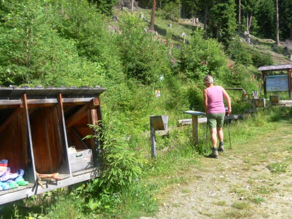 Erlebniswanderweg zur Wildbachhütte