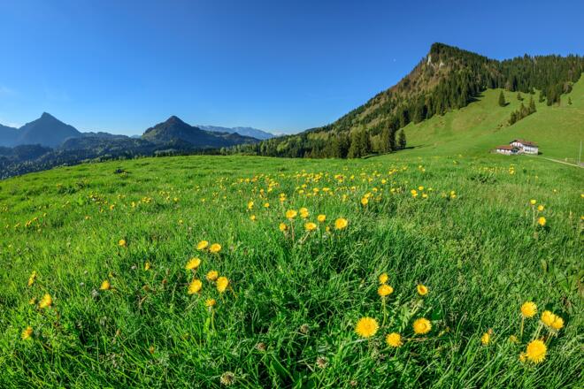 Auf dem weiten Almplateau mit Deindlalm und Laglerhütte