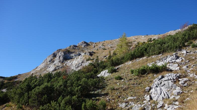 Wanderweg um 1430m links verlassen WEG 828