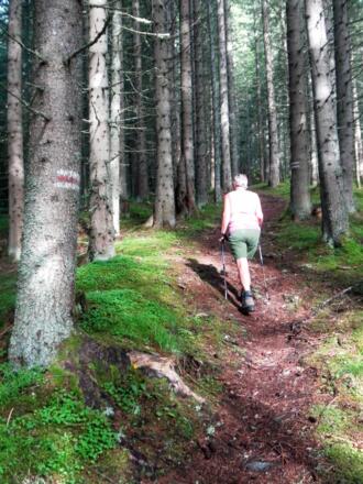 Moarbergsteig