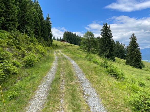 Weiter geht es entlang des Traktorweges ohne Schwierigkeiten.