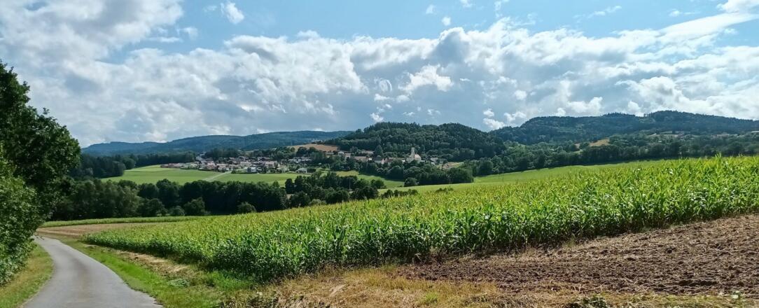 Blick nach Wetzelsberg