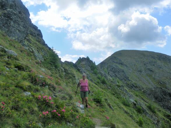 Westflanke des Pollannocks