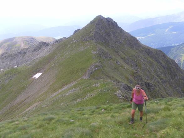 Gensgitsch links der Falterspitze