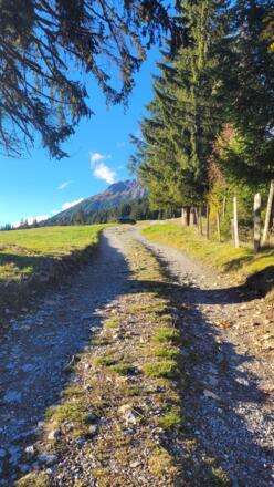 Startpunkt des Weges