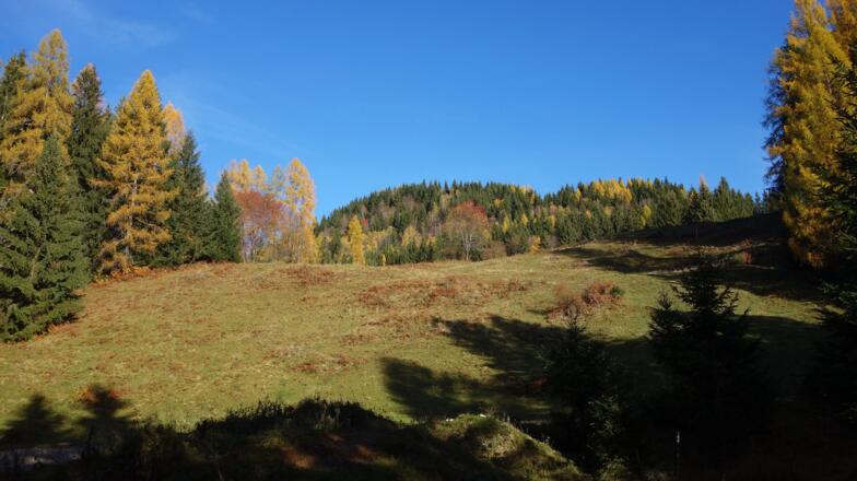 Sonnige Lichtung mit Breitenbergblick in den Herbstfarben.