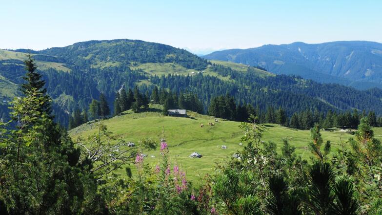 Almgebiet 1500m, rechts zur Stuhlalm