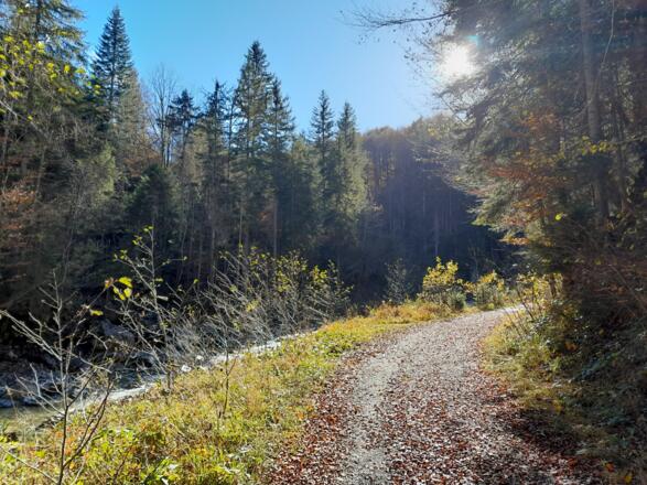 Im abwechslungsreichen Lainbachtal wird es aufgrund des geologischen Lehrpfads nicht langweilig
