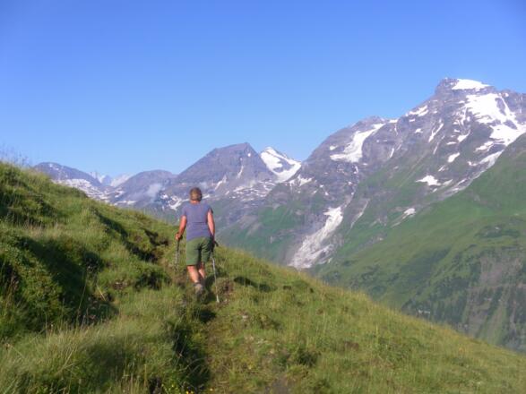 Großglockner, Hohe Dock und Wiesbachhorn