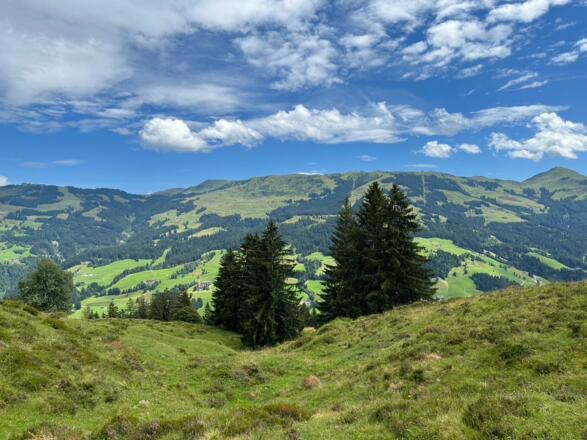 Blick Ost, Hahnenkamm-Pengelstein-Schwarzkogel