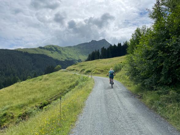 Mittlerweile sind wir in den Güterweg eingemündet und genießen die Auffahrt mit Blick auf das Kitzbüheler Horn.