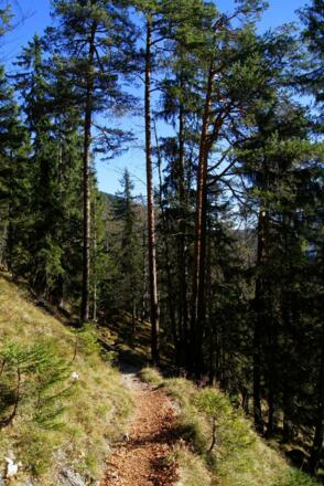 Gemütlicher Aufstiegsweg