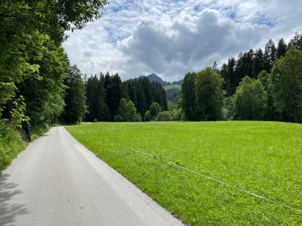 Nach dem Ortsteil "Almdorf" geht es zu Beginn über eine Asphaltstraße in angenehmer Steilheit bergwärts.