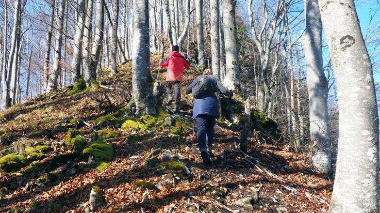 Am Grat im lichten Laubwald an, ca. 630m bis 730 m.
