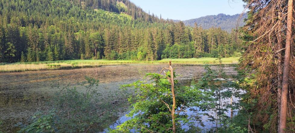 Am Taubensee wird hautnah vorbei gegravelt...