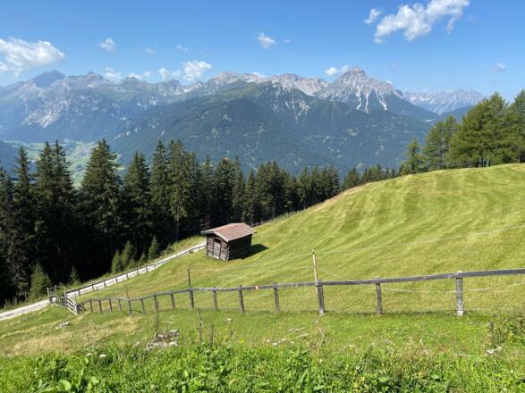 Die Bergwiesen der Spörralm mit Blick zur Serles.