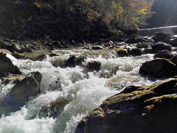 Der gischtende Lainbach hat sich tief eingegraben.