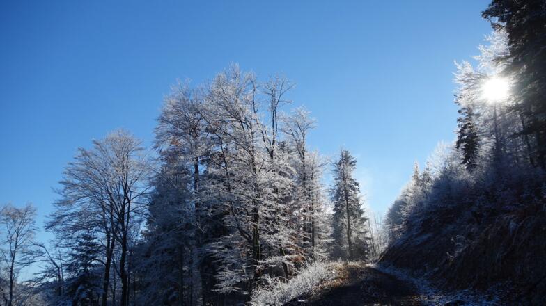 Do kummt die Sunn...