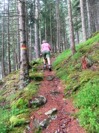 Moarbergsteig