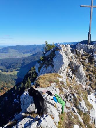 Gipfelpaus auf dem Hennenkopf