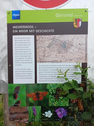 Information über das Weihermoos