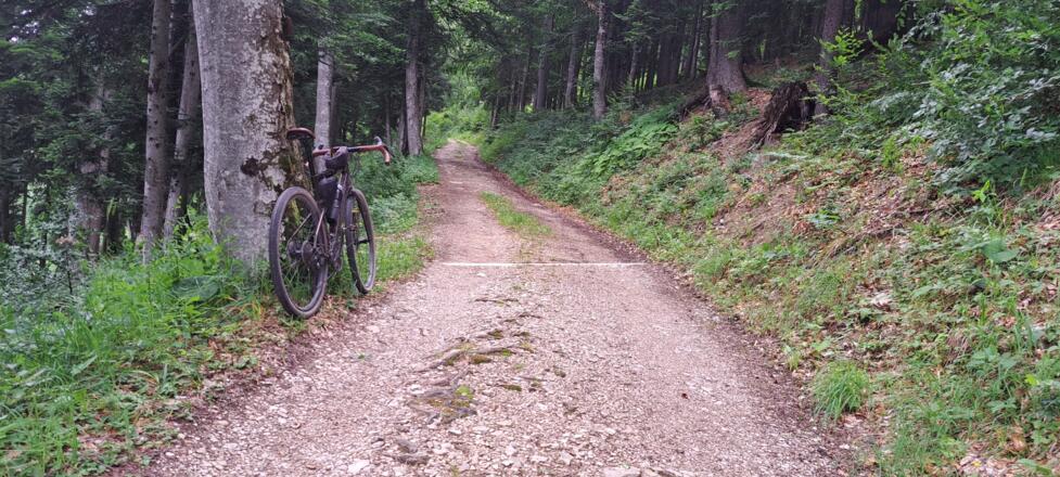 Über steile Forstwege weiter empor...