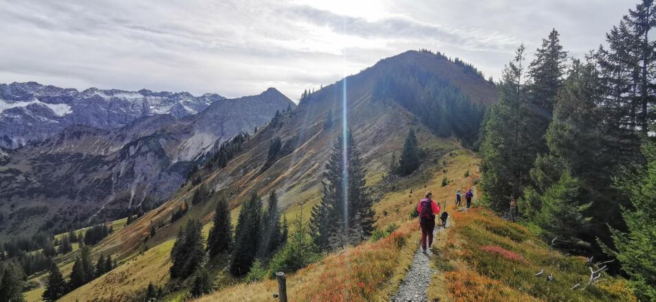 am Weg zum Schnippenkopf