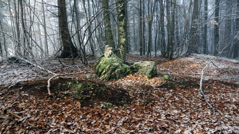 Seeberg 1014m Gipfelmanderl