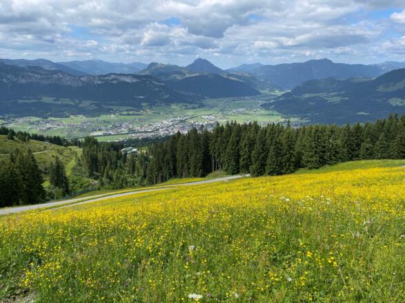 Mittlerweile sind wir in den Güterweg eingemündet und fahren über diesen mit Blick auf St. Johann hinauf zum Harschbichl.