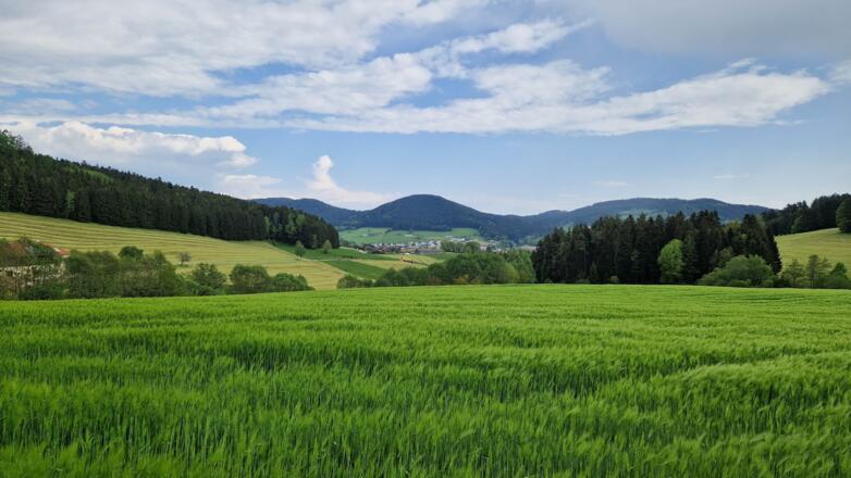 Blick zurück nach St. Oswald mit gr. Stiftungsberg und Braunberg im Hintergrund