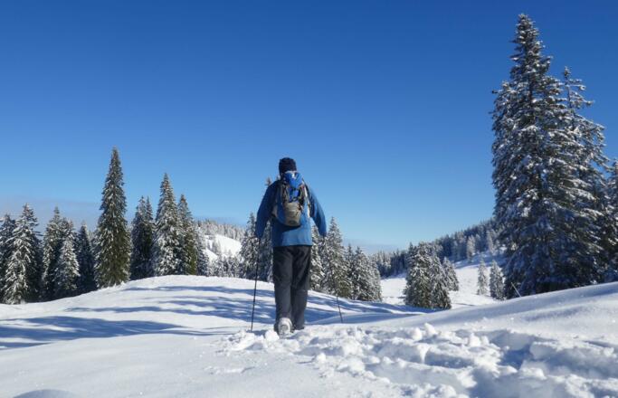 Das Riesenalm-Plateau bietet zwar wenig Weitsicht, aber bestes Win-terwandergelände.