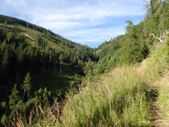 Im Karthäusental