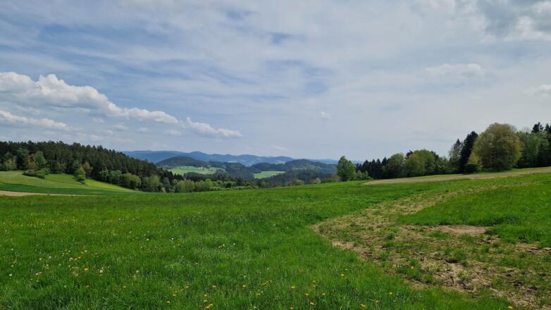 Typisch Mühlviertel