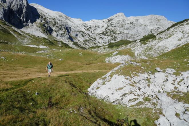 Das Wiesenplateau im Pitschenbergalmgrund