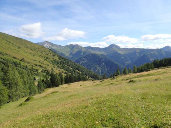 Unterhalb der Fallthoralm