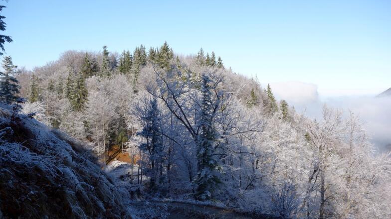 Seeberg im Rückblick von ~1000m